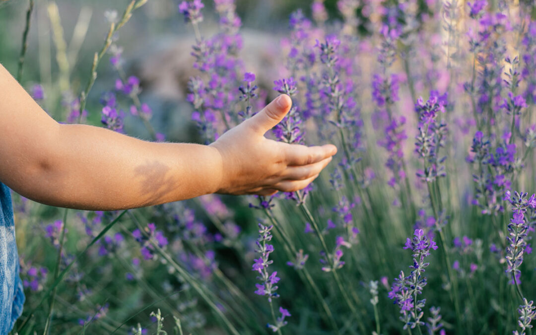 Staying Calm to Help a Child Regain Their Calm